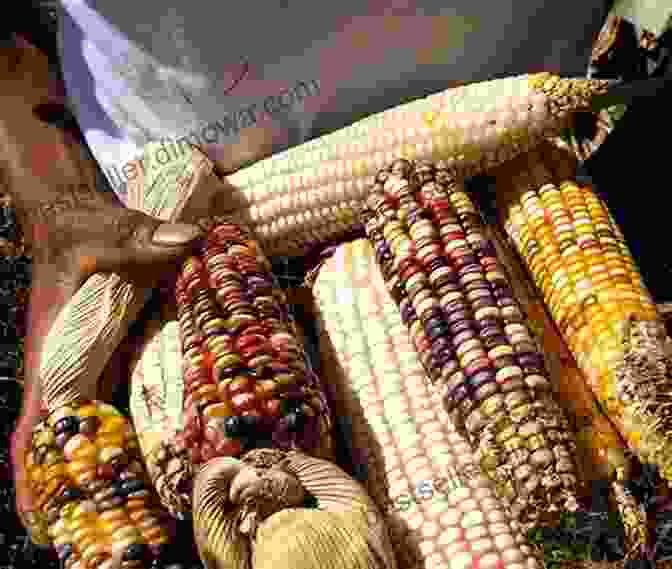 A Close Up Of A Traditional Maya Dish Made With Corn And Beans Food Culture Latin America Catherine Landenberg