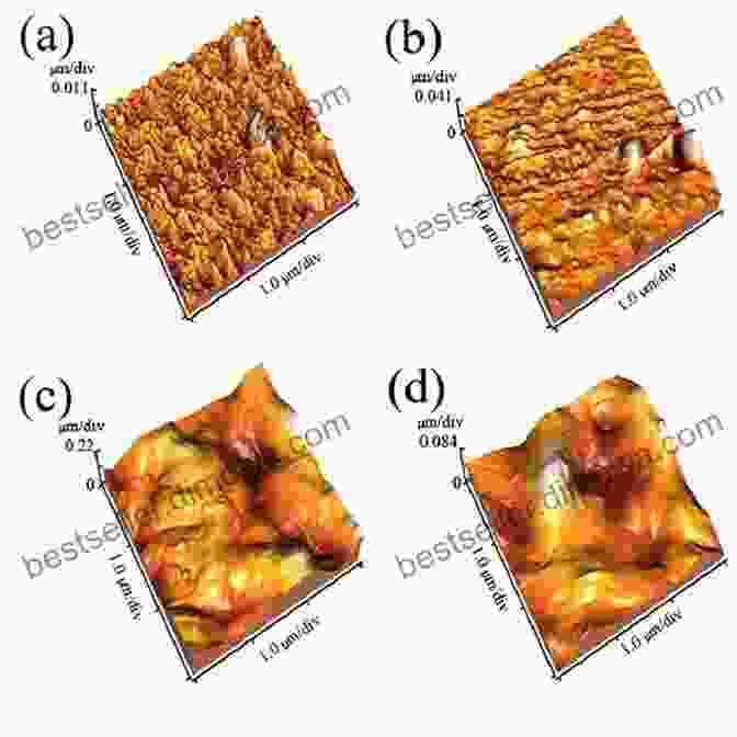 Atomic Force Microscopy Image Of A Surface Scanning Probe Microscopy: Atomic Force Microscopy And Scanning Tunneling Microscopy (NanoScience And Technology)