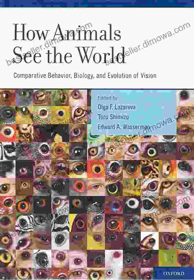 Book Cover Of 'Who Looking How Animals See The World' Who S Looking?: How Animals See The World