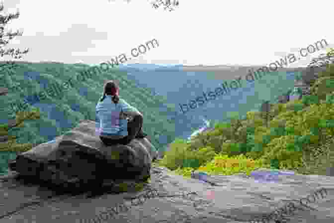 Hiker Enjoying The Scenic Views Of New River Gorge Best Easy Day Hikes New River Gorge (Best Easy Day Hikes Series)