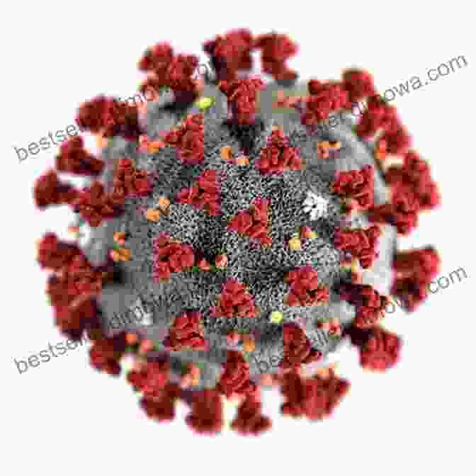 Illustration Of The COVID 19 Virus Coronavirus: 6Wks 2D Day Benjamin Litherland