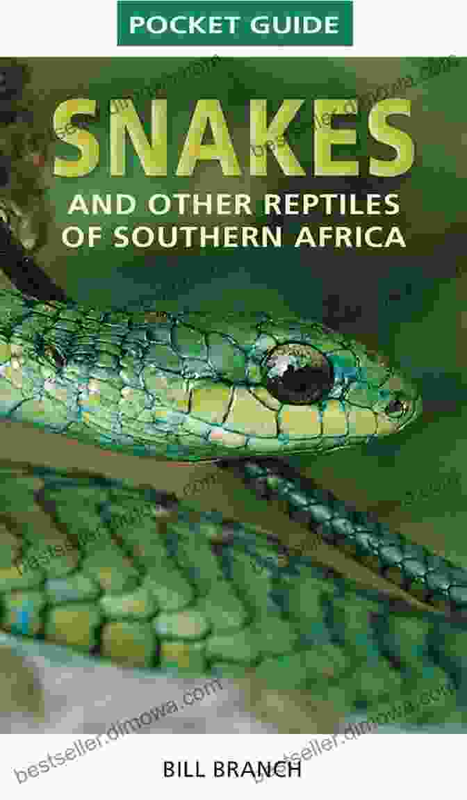 Pocket Guide Snakes And Other Reptiles Of Southern Africa, A Comprehensive Field Guide To The Diverse Reptile Species Found In The Region Pocket Guide Snakes And Other Reptiles Of Southern Africa