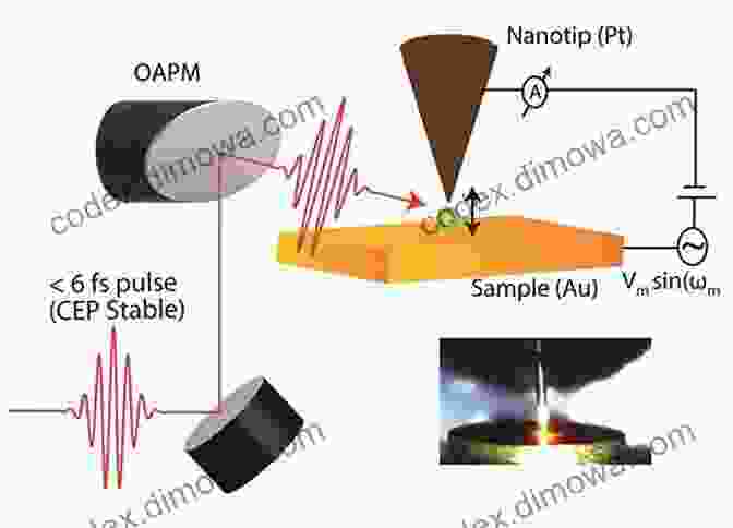 Scanning Tunneling Microscopy Image Of A Surface Scanning Probe Microscopy: Atomic Force Microscopy And Scanning Tunneling Microscopy (NanoScience And Technology)