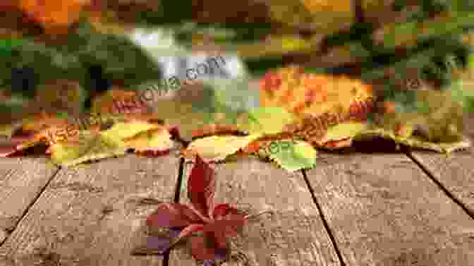 Stunning Image Of Autumn Leaves Falling, Reflecting The Themes Of The Book Autumn S Kiss (Autumn Falls 2)