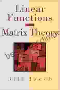 Linear Functions And Matrix Theory: An Introduction (Textbooks In Mathematical Sciences)