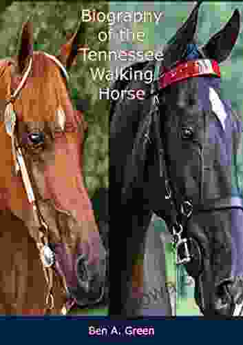 Biography Of The Tennessee Walking Horse