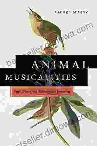 Animal Musicalities: Birds Beasts And Evolutionary Listening (Music / Culture)