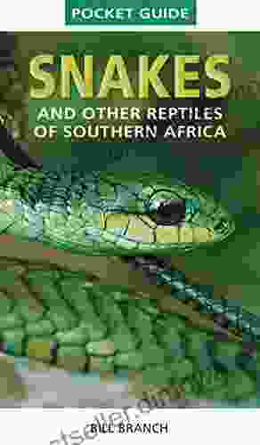 Pocket Guide Snakes and other reptiles of Southern Africa