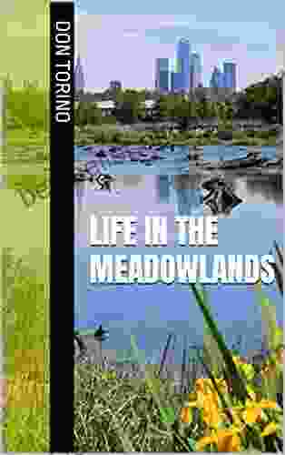 Life In The Meadowlands: A Collection Of 35 Nature Themed Lyric Essays