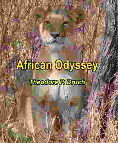 African Odyssey Theodore P Druch