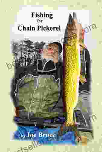 Fishing For Chain Pickerel Ben Bergeron