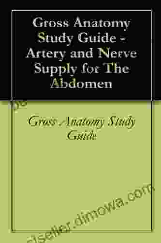 Gross Anatomy Study Guide Artery And Nerve Supply For The Abdomen