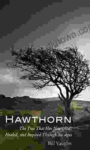 Hawthorn: The Tree That Has Nourished Healed And Inspired Through The Ages