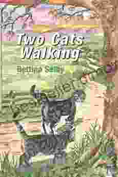 Two Cats Walking Bettina Selby