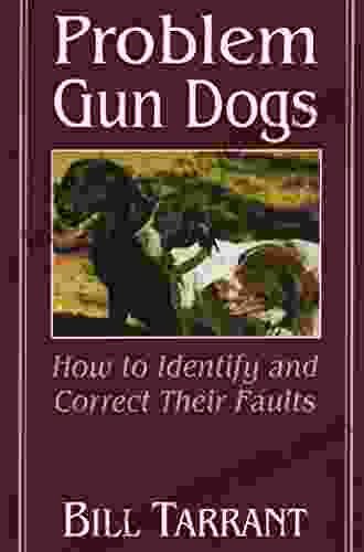 Problem Gun Dogs: How To Identify And Correct Their Faults