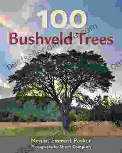 100 Bushveld Trees Bill Mesler