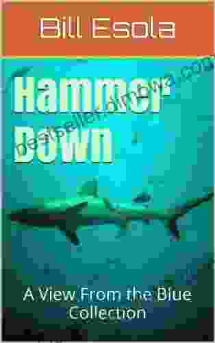 Hammer Down: A View From the Blue Collection